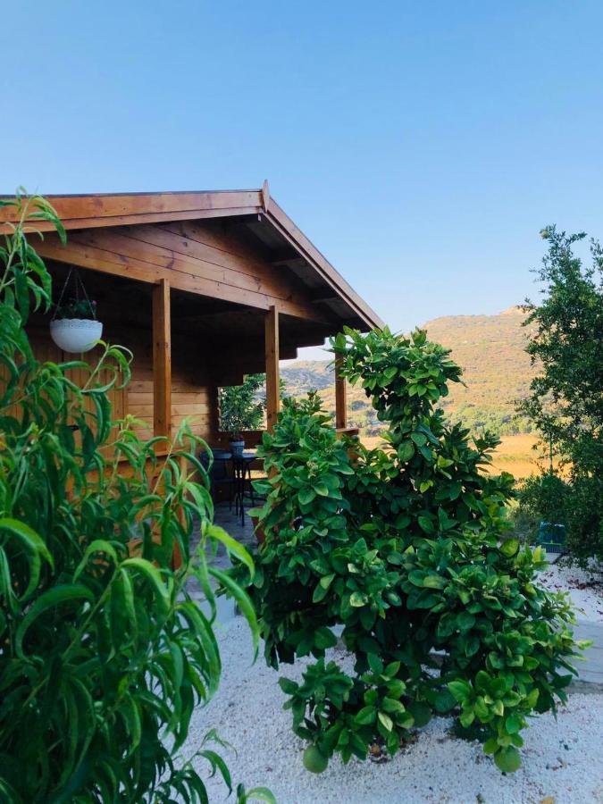 Happy Glamping Cy Villa Agios Theodoros Eksteriør billede