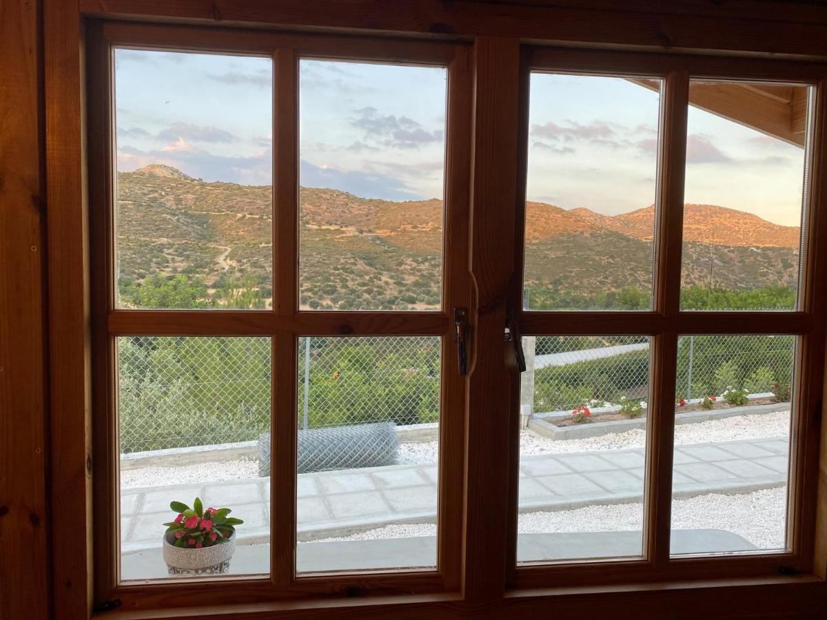 Happy Glamping Cy Villa Agios Theodoros Eksteriør billede