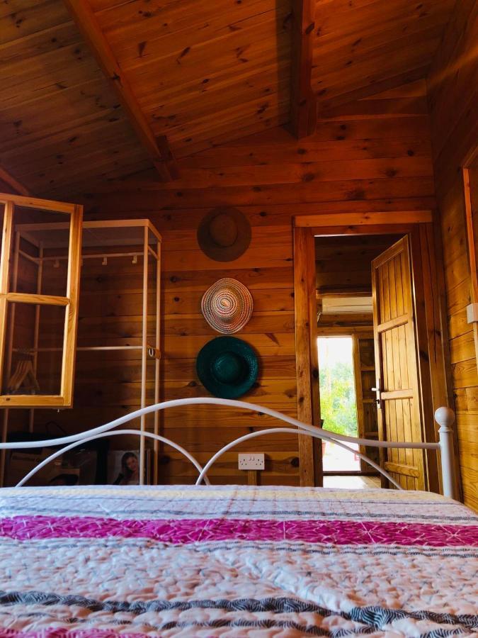 Happy Glamping Cy Villa Agios Theodoros Eksteriør billede
