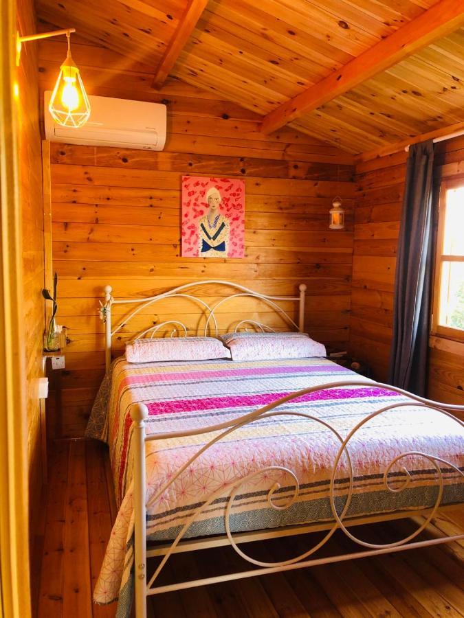 Happy Glamping Cy Villa Agios Theodoros Eksteriør billede