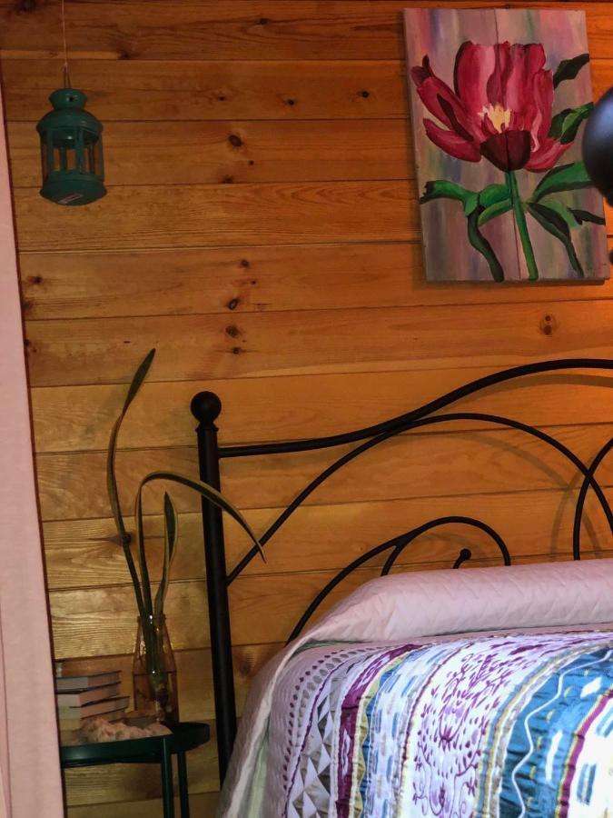 Happy Glamping Cy Villa Agios Theodoros Eksteriør billede