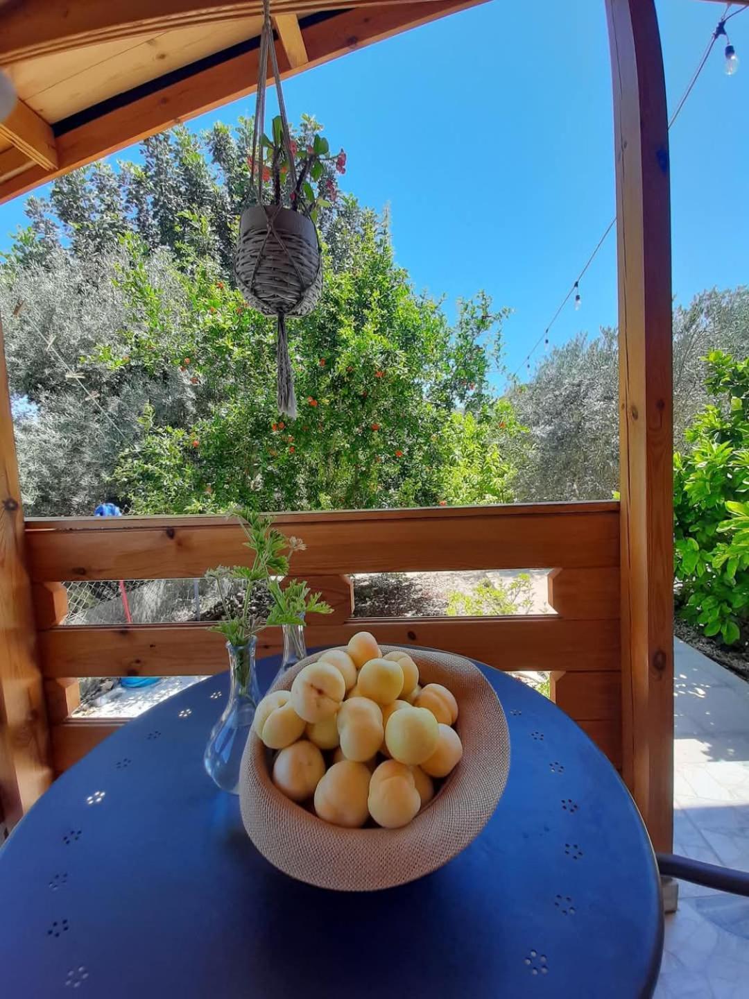 Happy Glamping Cy Villa Agios Theodoros Eksteriør billede